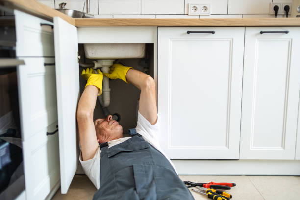 Best Drain Cleaning Services  in Samsula Spruce Creek, FL
