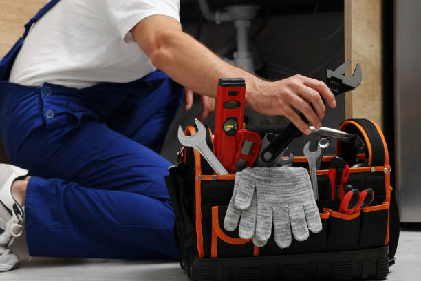 Best Clogged Drain Plumber  in Samsula Spruce Creek, FL